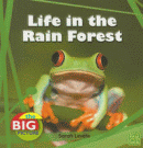 LIFE IN THE RAINFOREST