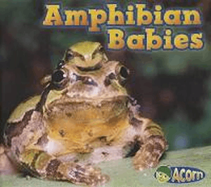 AMPHIBIAN BABIES