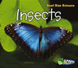 INSECTS