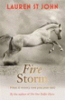 FIRE STORM