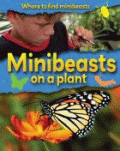 MINIBEASTS ON A PLANT