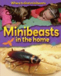 MINIBEASTS IN THE HOME