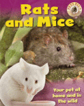 RATS AND MICE