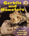 GERBILS AND HAMSTERS