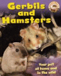 GERBILS AND HAMSTERS