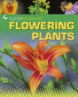 FLOWERING PLANTS