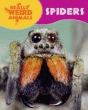 SPIDERS