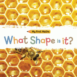 WHAT SHAPE IS IT?