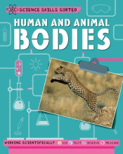 HUMAN AND ANIMAL BODIES