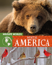 NORTH AMERICA