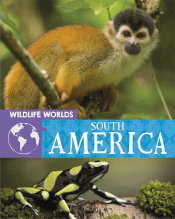 SOUTH AMERICA