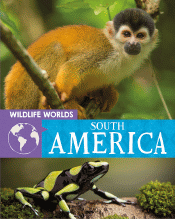 SOUTH AMERICA