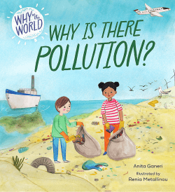 WHY IS THERE POLLUTION?