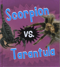 SCORPION VS TARANTULA
