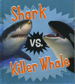 SHARK VS KILLER WHALE