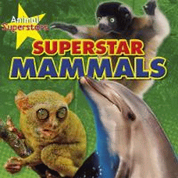 SUPERSTAR MAMMALS