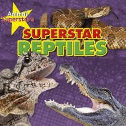 SUPERSTAR REPTILES