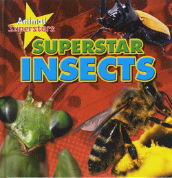 SUPERSTAR INSECTS