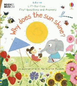 WHY DOES THE SUN SHINE?