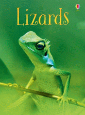 LIZARDS