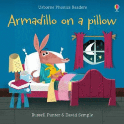 ARMADILLO ON A PILLOW