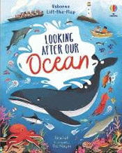 LOOKING AFTER OUR OCEAN BOARD BOOK