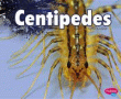 CENTIPEDES