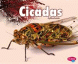 CICADAS