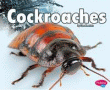 COCKROACHES