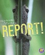 WRITE A REPORT!
