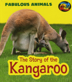 STORY OF THE KANGAROO, THE