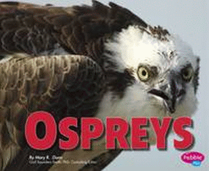 OSPREYS