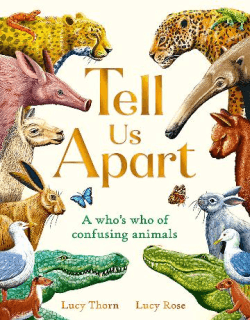 TELL US APART