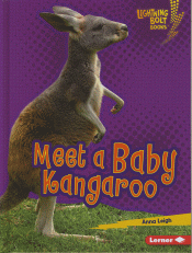 MEET A BABY KANGAROO