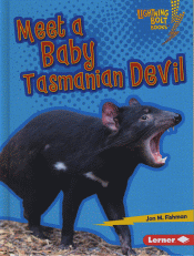 MEET A BABY TASMANIAN DEVIL