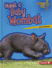 MEET A BABY WOMBAT