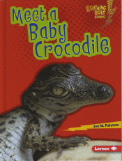MEET A BABY CROCODILE