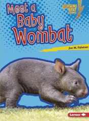 MEET A BABY WOMBAT