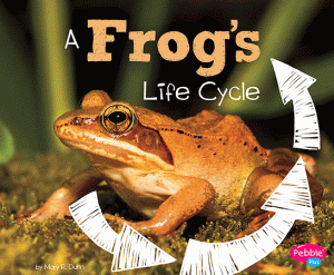 FROG'S LIFE CYCLE, A