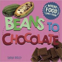BEANS TO CHOCOLATE