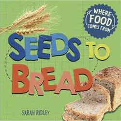 SEEDS TO BREAD