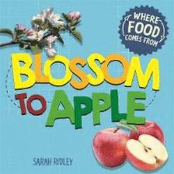 BLOSSOM TO APPLE