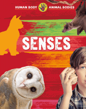 SENSES