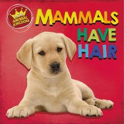 MAMMALS HAVE HAIR