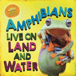 AMPHIBIANS LIVE ON LAND AND IN WATER