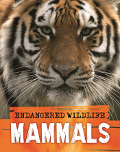 MAMMALS