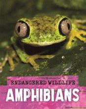 AMPHIBIANS