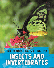 INSECTS AND INVERTEBRATES