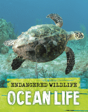 OCEAN LIFE