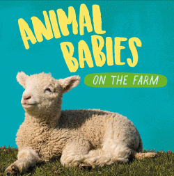 ANIMAL BABIES ON THE FARM